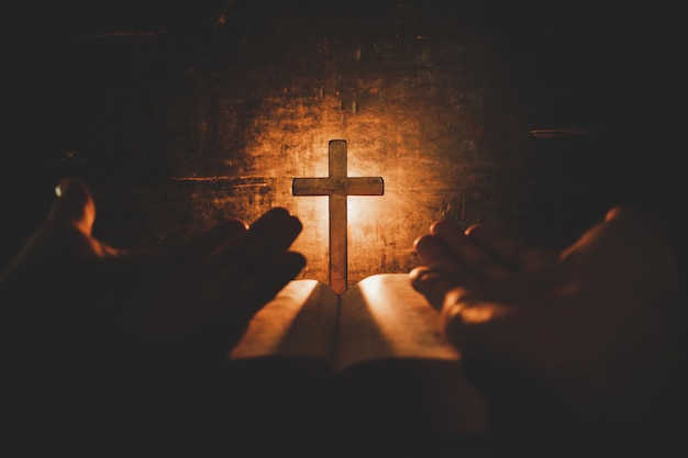 Rust开发者将人工智能作为工具
